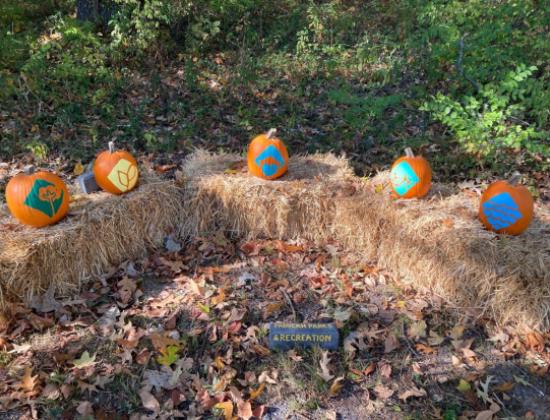 Pumpkin Walk