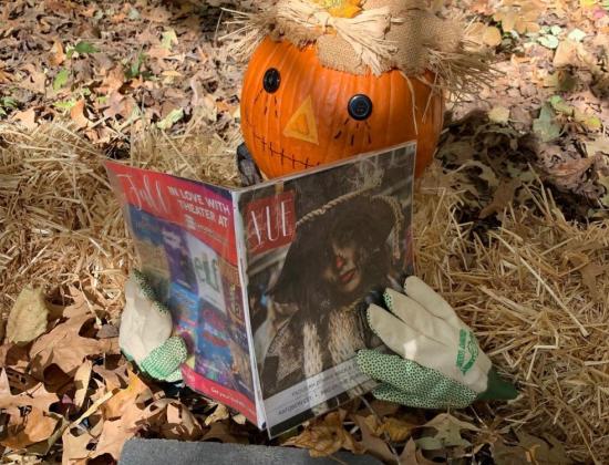 Pumpkin Walk